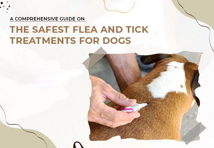 A Comprehensive Guide on the Safest Flea and Tick Treatments for Dogs